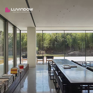 Luxury Minimalist Frameless Electric Sliding Door